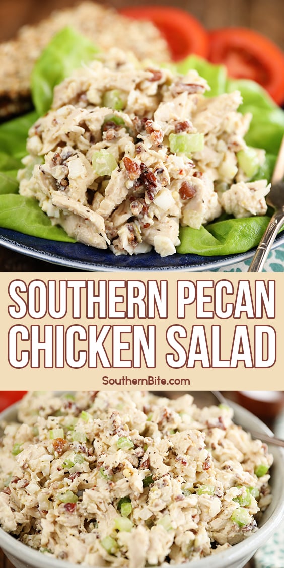 https://southernbite.com/wp-content/uploads/2011/03/Pecan-Chicken-Salad-Pinterest-copy.jpg