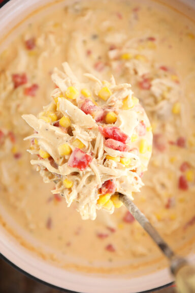 Ladle with Chicken Corn Chowder.