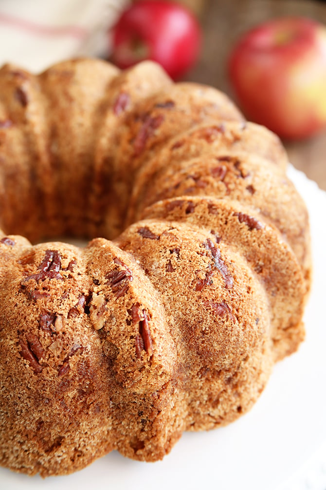 Mom's Apple Nut Cake - Southern Bite