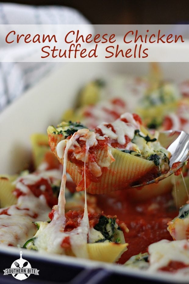 Cream Cheese Chicken Stuffed Shells - Southern Bite