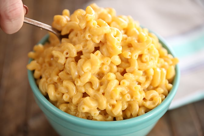 Is macaroni and outlet cheese bad for dogs