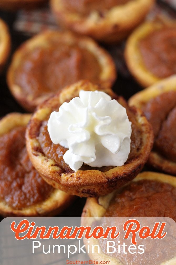 Cinnamon Roll Pumpkin Pie Bites - Southern Bite