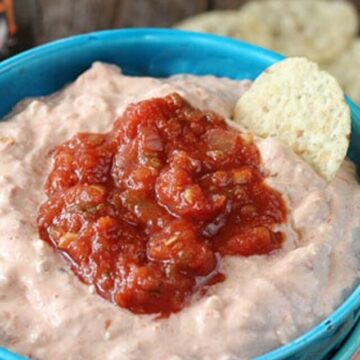 Three simple ingredients are all you need to create the easy and tasty Salsa Chicken Dip!