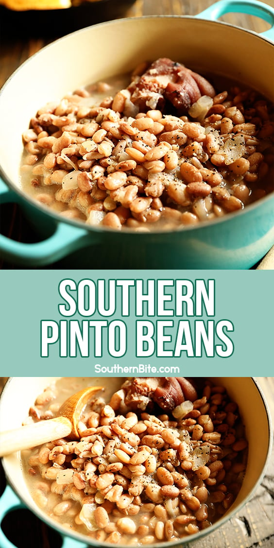 Southern Pinto Beans - Southern Bite