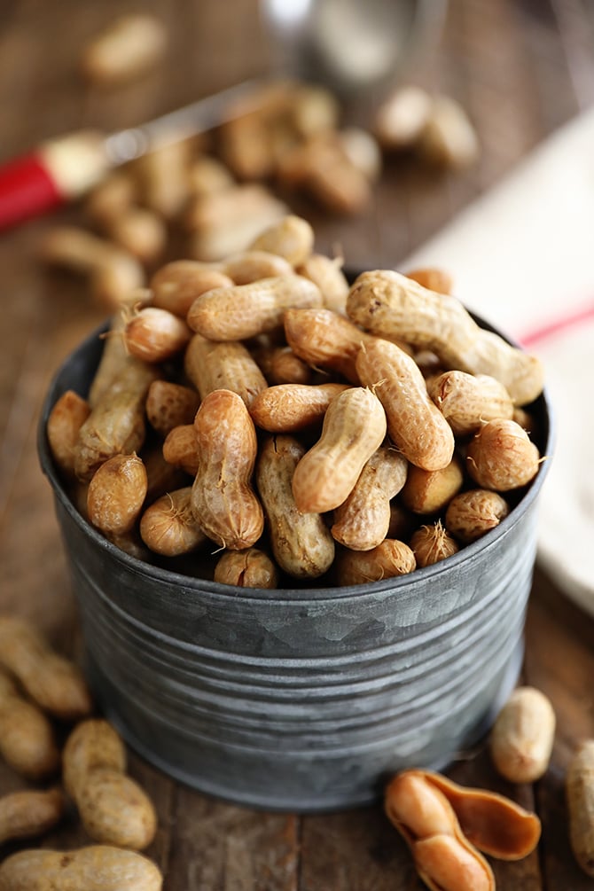 Instant Pot Boiled Peanuts