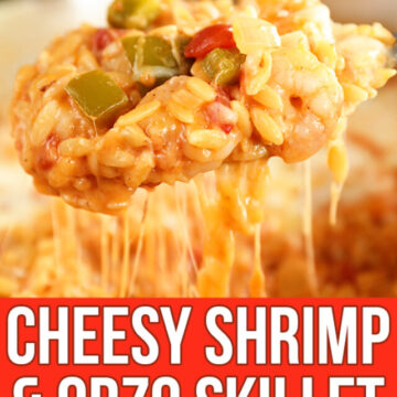 Spoonful of Cheesy Shrimp and Orzo Skillet with cheese pull - images for Pinterest