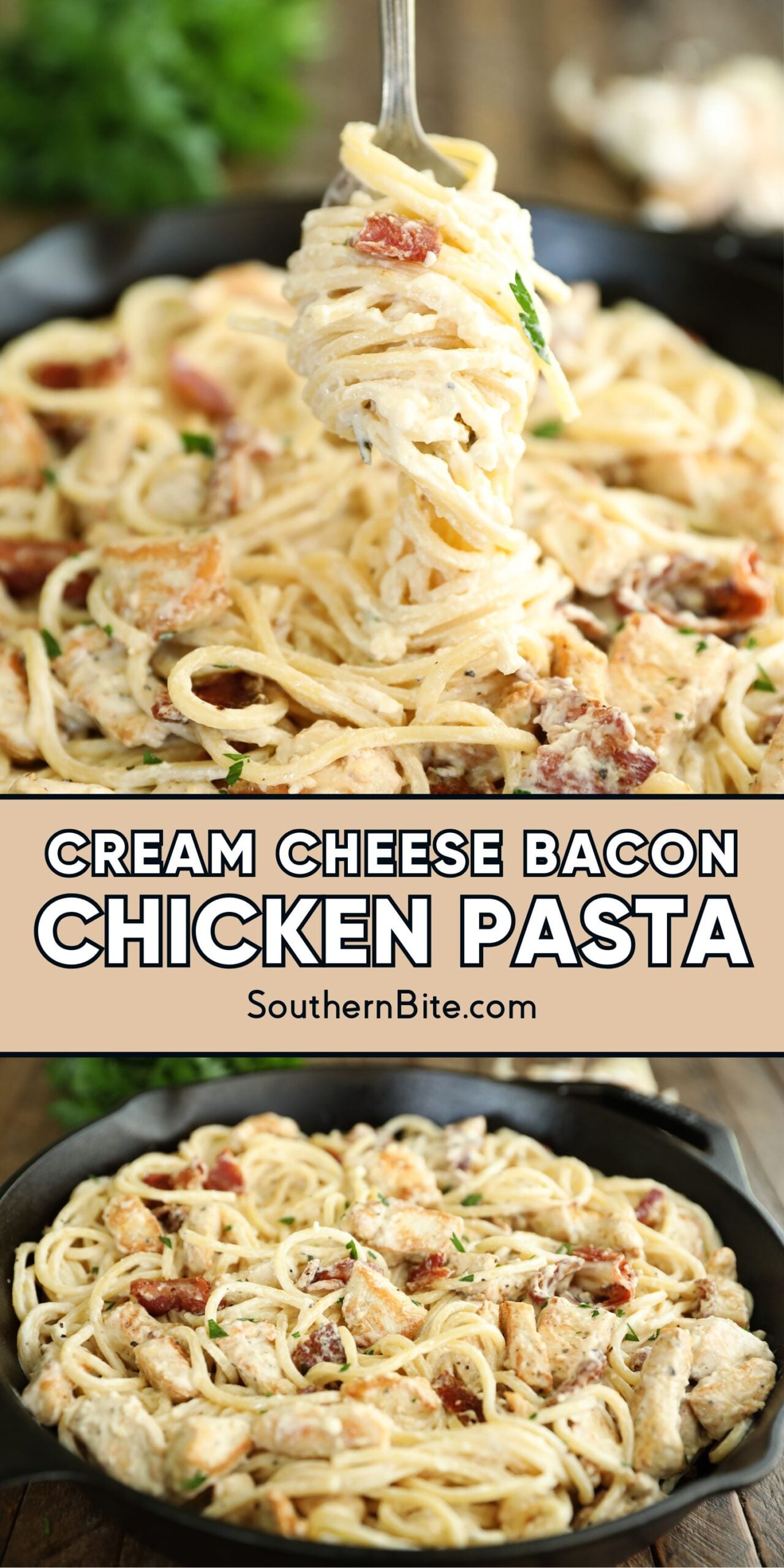 Cream Cheese Bacon Chicken Pasta - Southern Bite