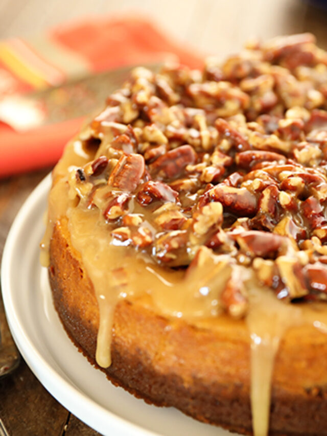 Easy Pumpkin Cheesecake with Pecan Pie Topping - Southern Bite