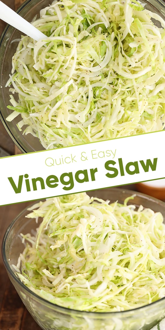 Vinegar Slaw Southern Bite