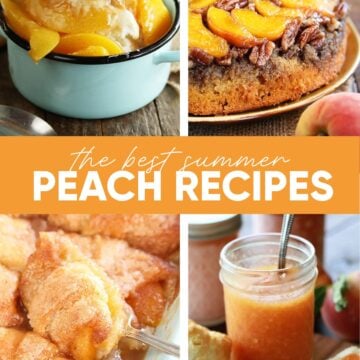The BEST Peach Recipes for Summer Image for Pinterest.