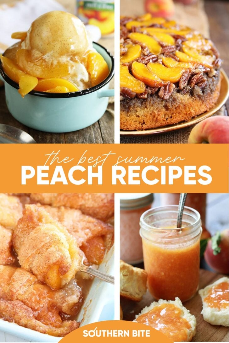 The BEST Peach Recipes for Summer Image for Pinterest.