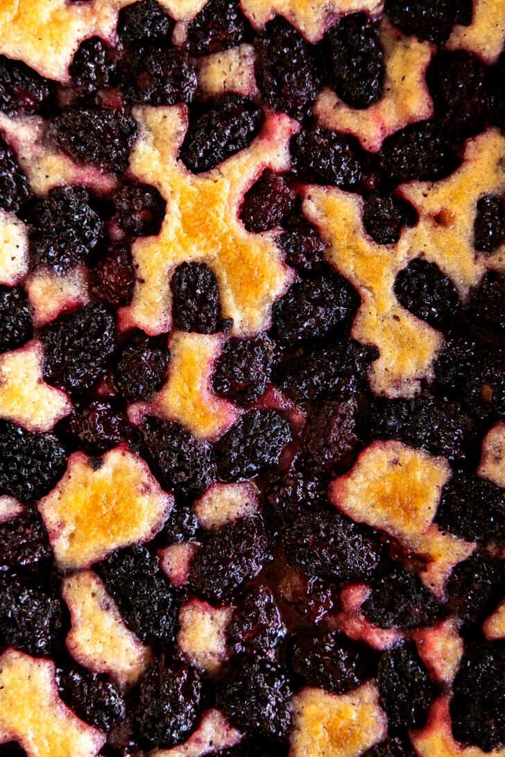 Close-up of Blackberry Cobbler.