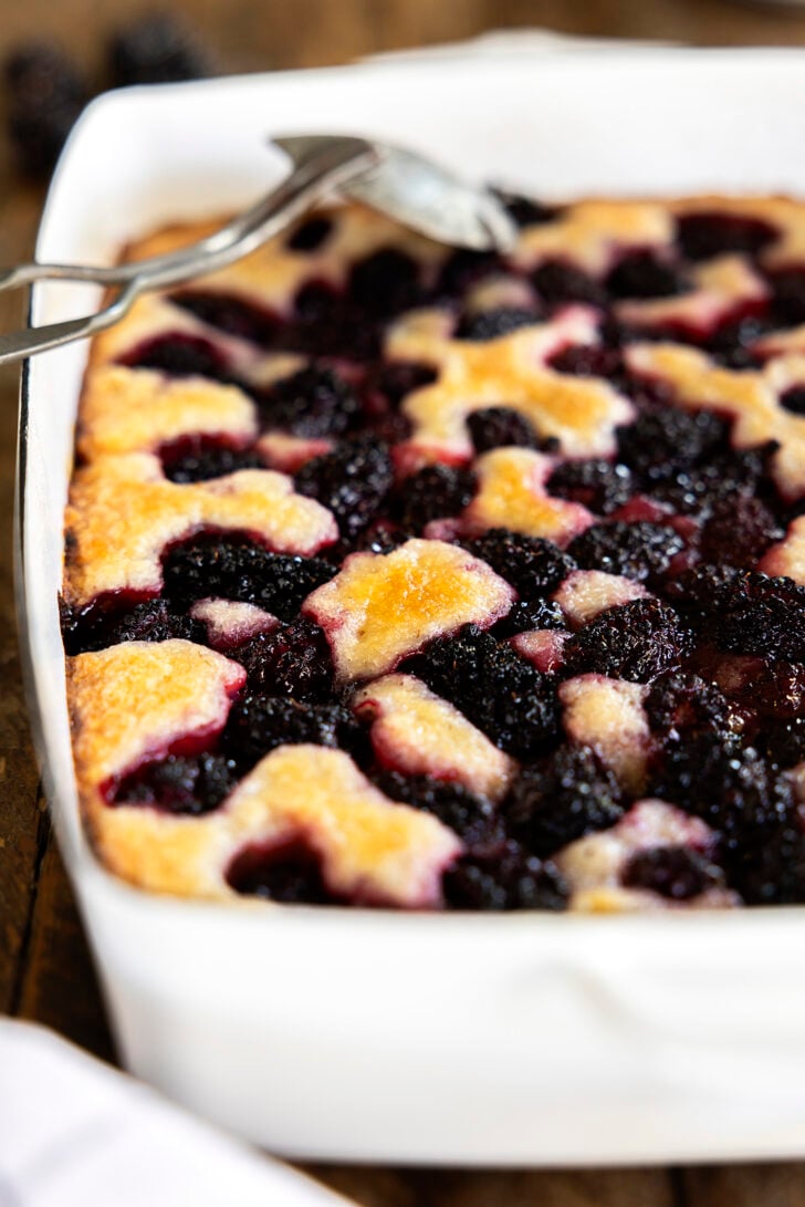 Blackberry Cobbler in a white dish.